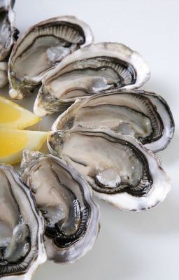 Дюжина устриц