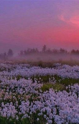 Жизнь на изначальной карте 