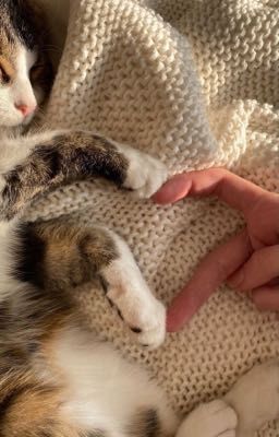 Last summer(последнее лето)