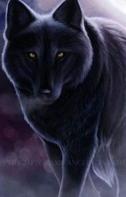 Оборотни, как собаки, любят поиграть.