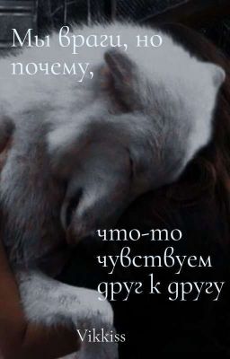 Мы враги, но почему, что-то чувствуем друг к другу?...