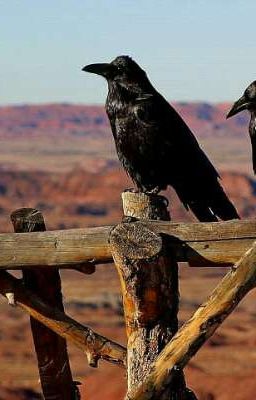 Уродливая и её принц-Франкенштейн.