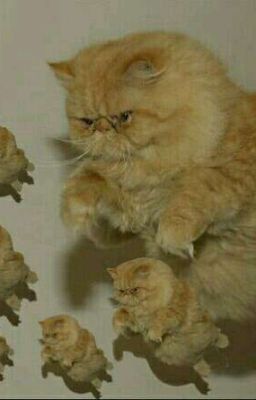 Кот: тайна портретиста