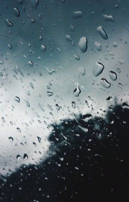 Плакала осень