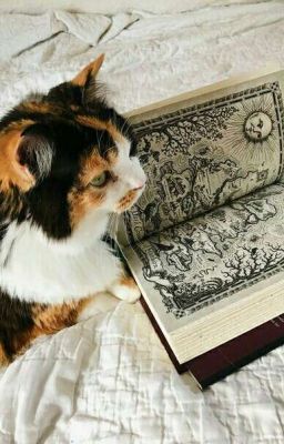 Рассказы. Тяжелые судьбы. 