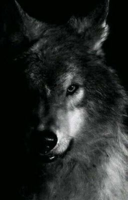 Истиная пара Альфы