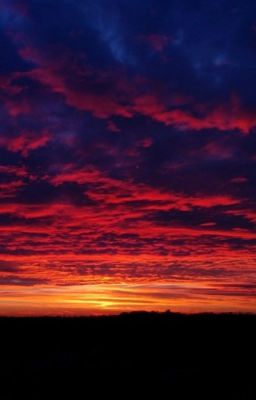 Разногласия...