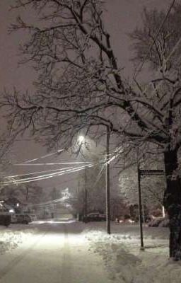 Невольник чести (стих)