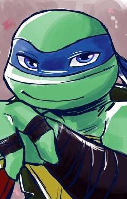 Черепашки ниндзя часть 1