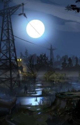 S.T.A.L.K.E.R. Последний бой.