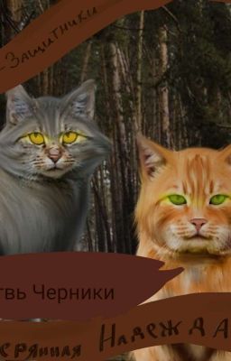 Коты Защитники |Потерянная Надежда|