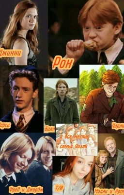 Приключения Т/И Уизли, Фреда, Джорджа и не только.(заморожен на неопределённое)