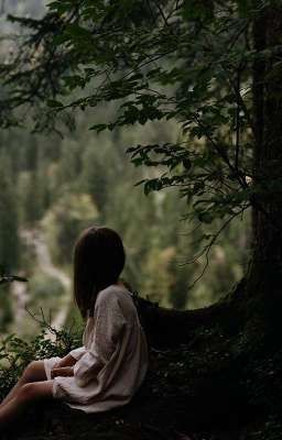 В день когда цвели папоротники... 