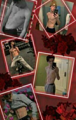 🙈❤Did I fall in love with you, Payton Moromeier?🙈❤