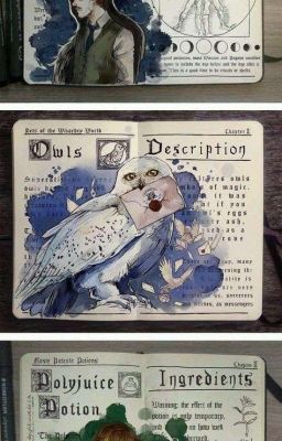 Гарри Поттер Начало Конца