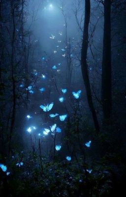 Жизнь и истории автора