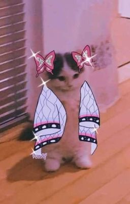 Ты ли это, Канаэ?