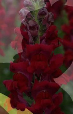 ☆Я скучаю.☆|°Blueycapsules°|•Fnaf•|