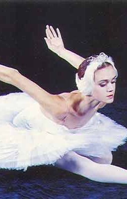 Cовершенство