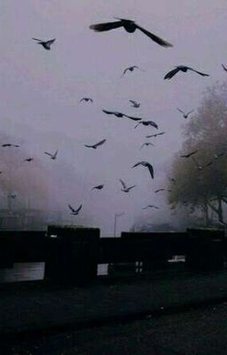 Он вышел из тьмы . 