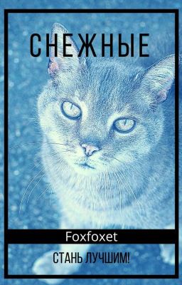 Стань лучшим!