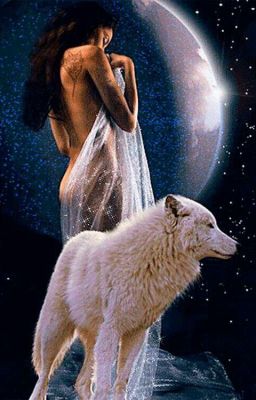 Волчица одиночка