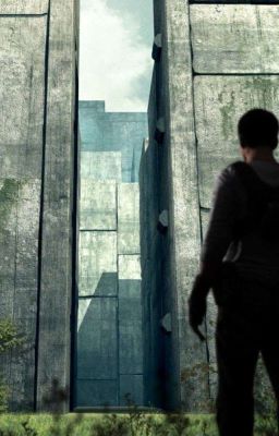 достигнутая цель