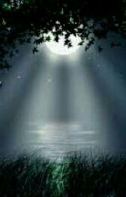 The Zombie□■□《Harry Styles And 1D》