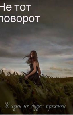 Не тот поворот