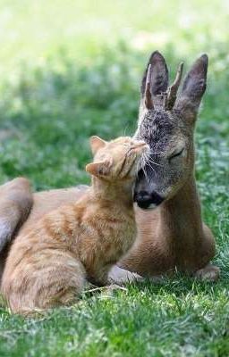 День, когда все рухнуло  