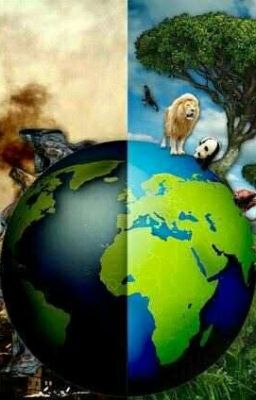 Твоя земля!