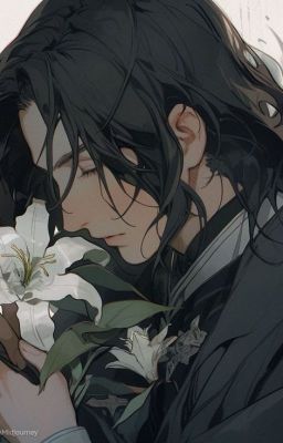 Амелия Снейп и совсем другая история