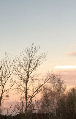 Волшебные приключения мии