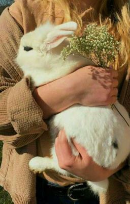 что то пишу..