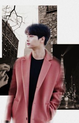 Свет лунных фонарей