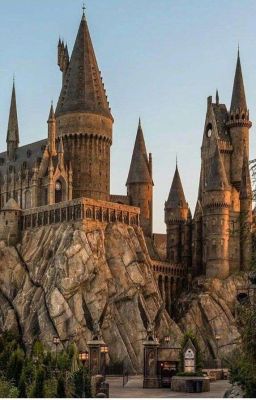 Новая реальность 