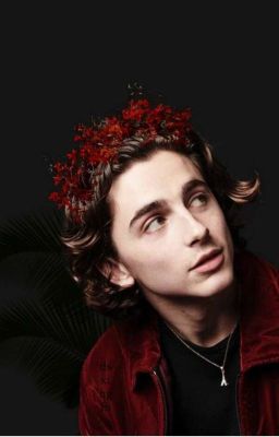 В Погоне За Счастьем 