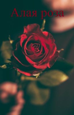Алая роза
