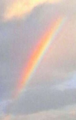 Любовь без правил...