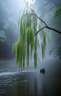 Там,где кончается июль.