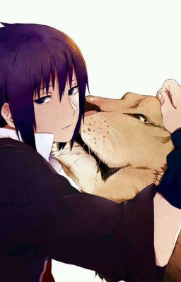 тайны психбольницы