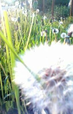 Перевернулась жизнь, перевернешься сама.