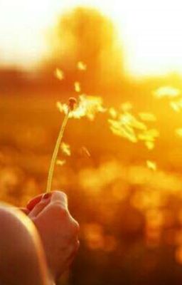 Влюбись в меня на рассвете