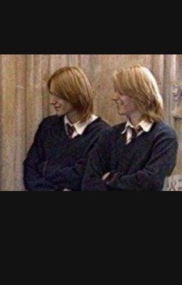 Марьяна Молли Поттер 