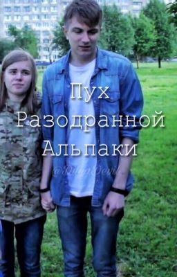 Пух разодранной альпаки 