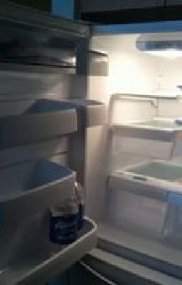 Поймите, они тоже хотят жить.