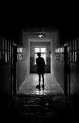 Мелодия ночи