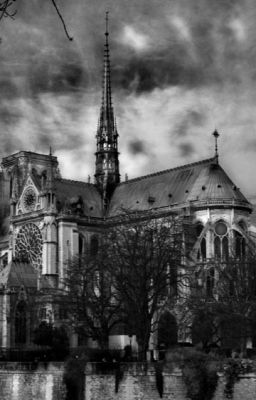 Охота за потерянным  городом