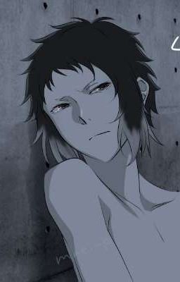 "Спишь?" (фанфик по Прозе бродячих псов. Шин-соукоку)