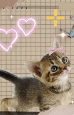 Маленький хищник 